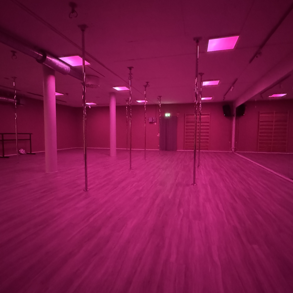 UDC-THEBASEMENT